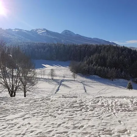 Cosy Au Pied Des Pistes 4 Pers *